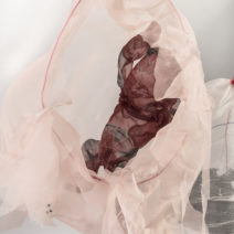Alternative view of Deborah Hirshfield