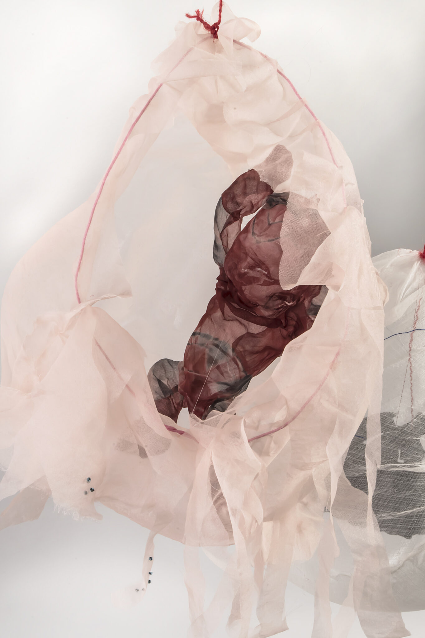 Deborah Hirshfield - Image 2
