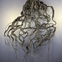 Bethany Cordero - Image 6