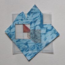 Indrani Nayar-Gall