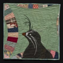 Laurel Izard