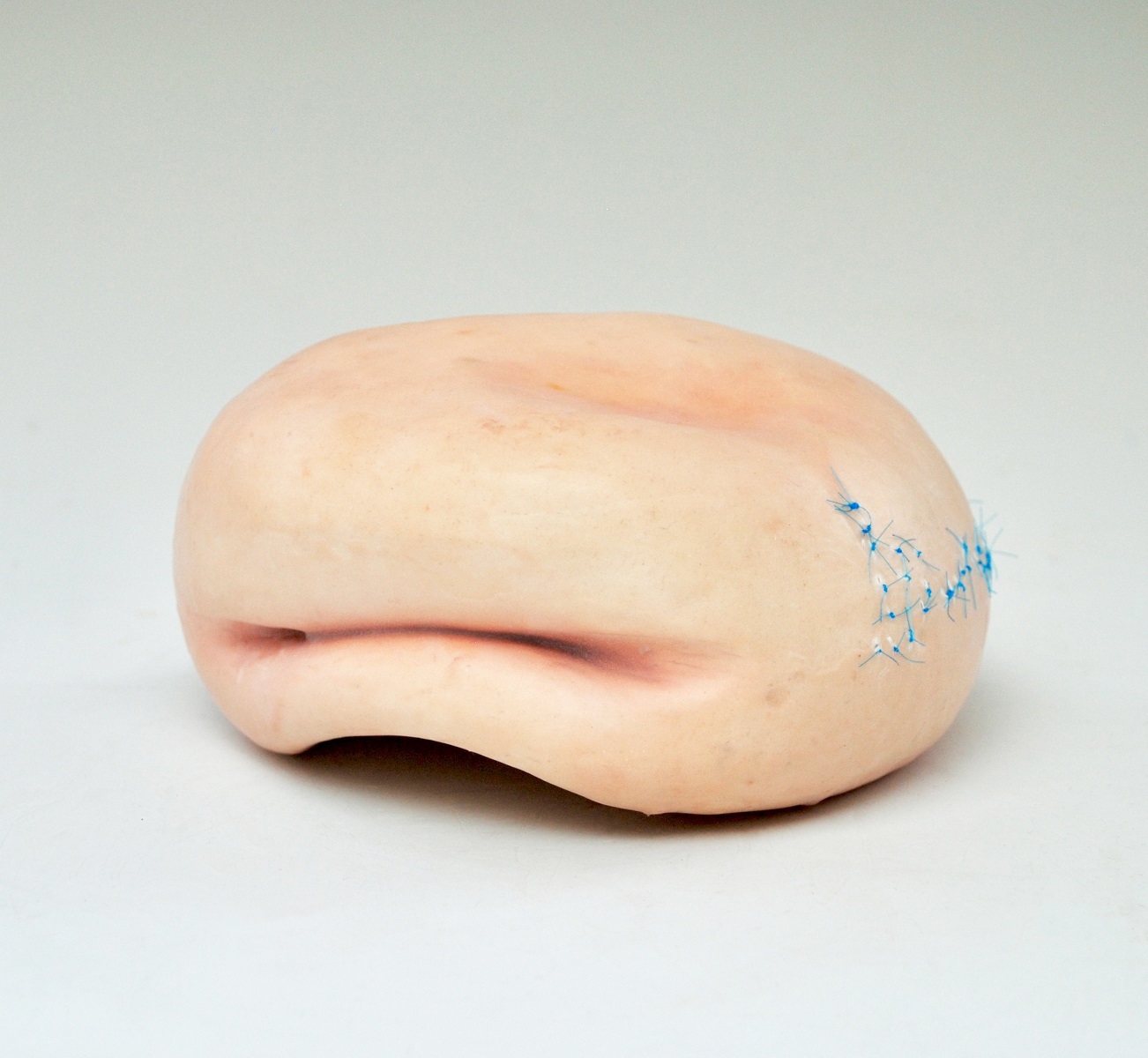 Kelly Devitt - Image 2
