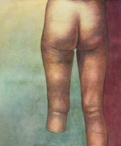 Robin Adsit