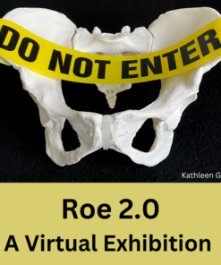 ROE 2.0 Virtual Exhibiting Artists