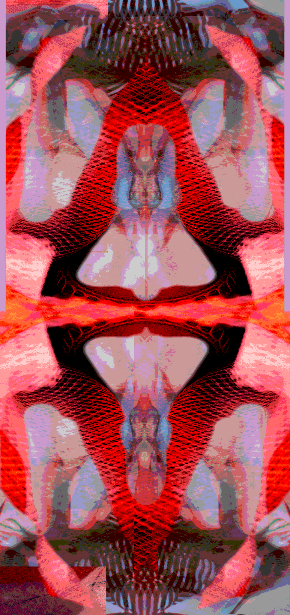 Niki Nolin - Image 2