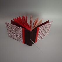 Alternative view of Erin K. Schmidt