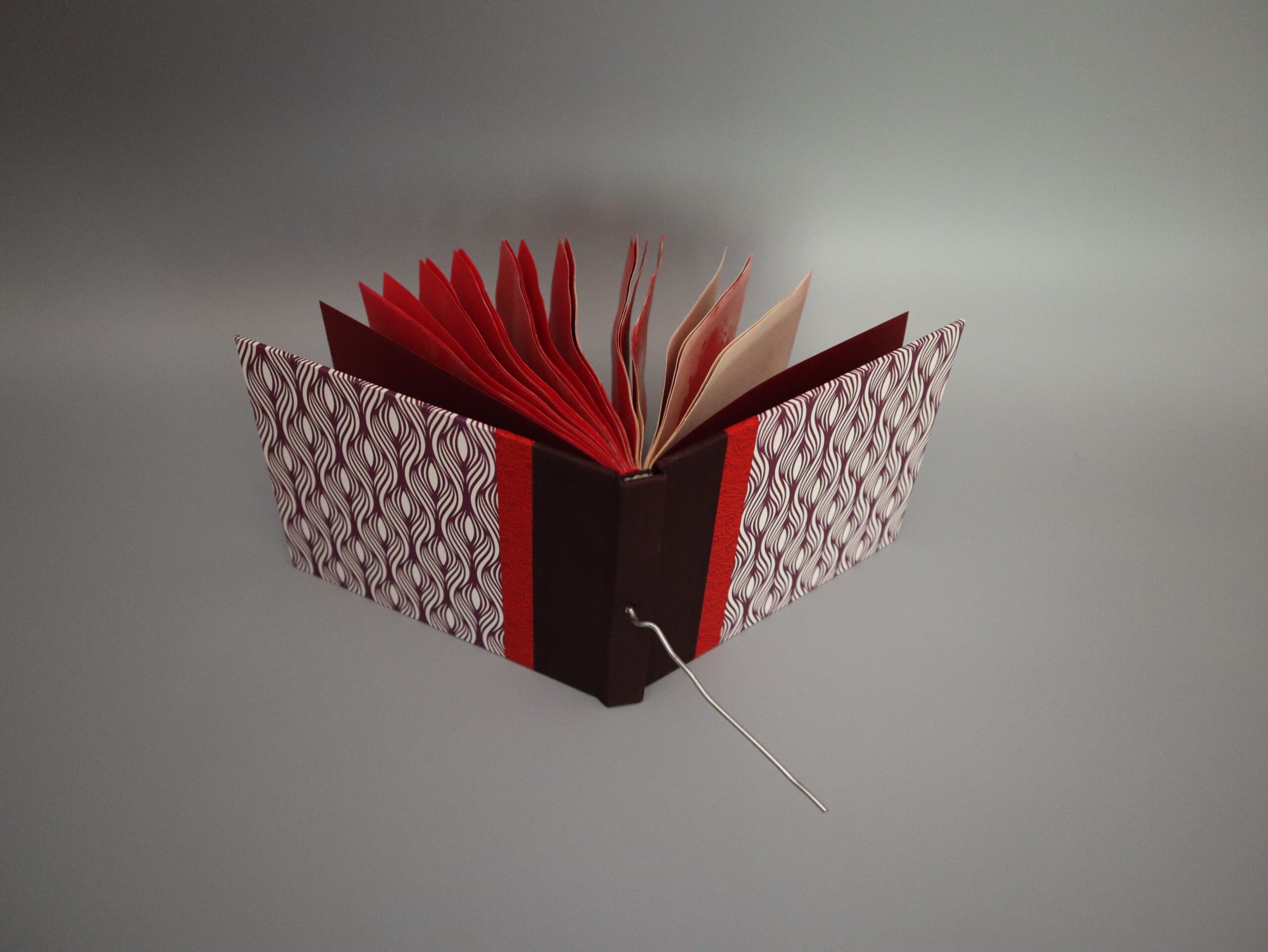 Erin K. Schmidt - Image 2