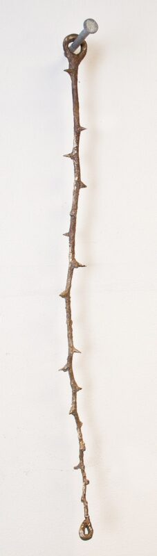Rachel Linnemann