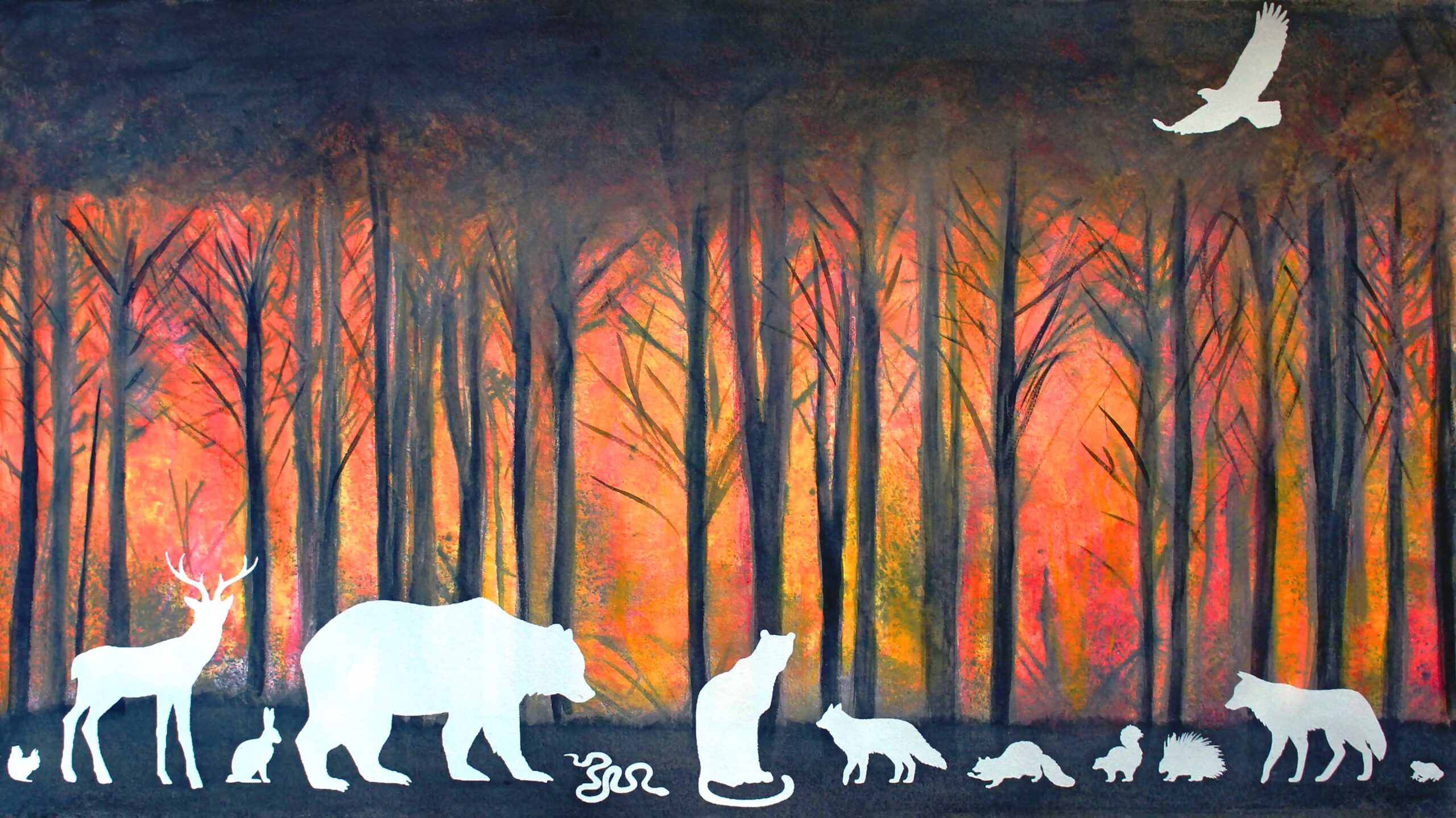 Karen Fiorito - Image 4