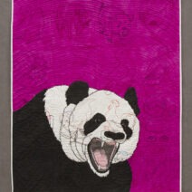 Laurel Izard - Image 4