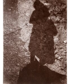 Carol Hayman