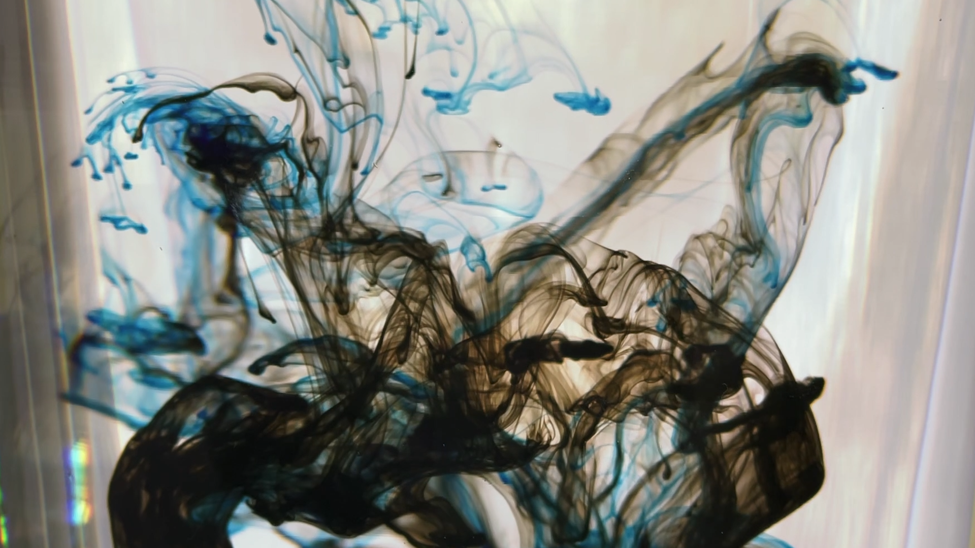 Indrani Nayar-Gall - Image 2