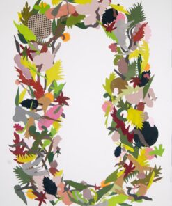 Emily Schroeder Willis
