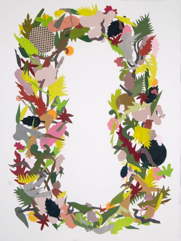 Emily Schroeder Willis