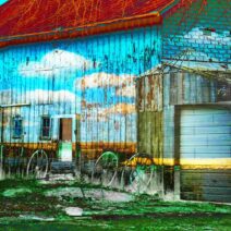 Theresa Crubaugh - Image 3