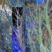Theresa Crubaugh