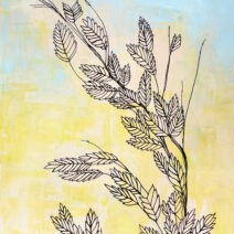 Mary Kate Fahrenbach Venturini