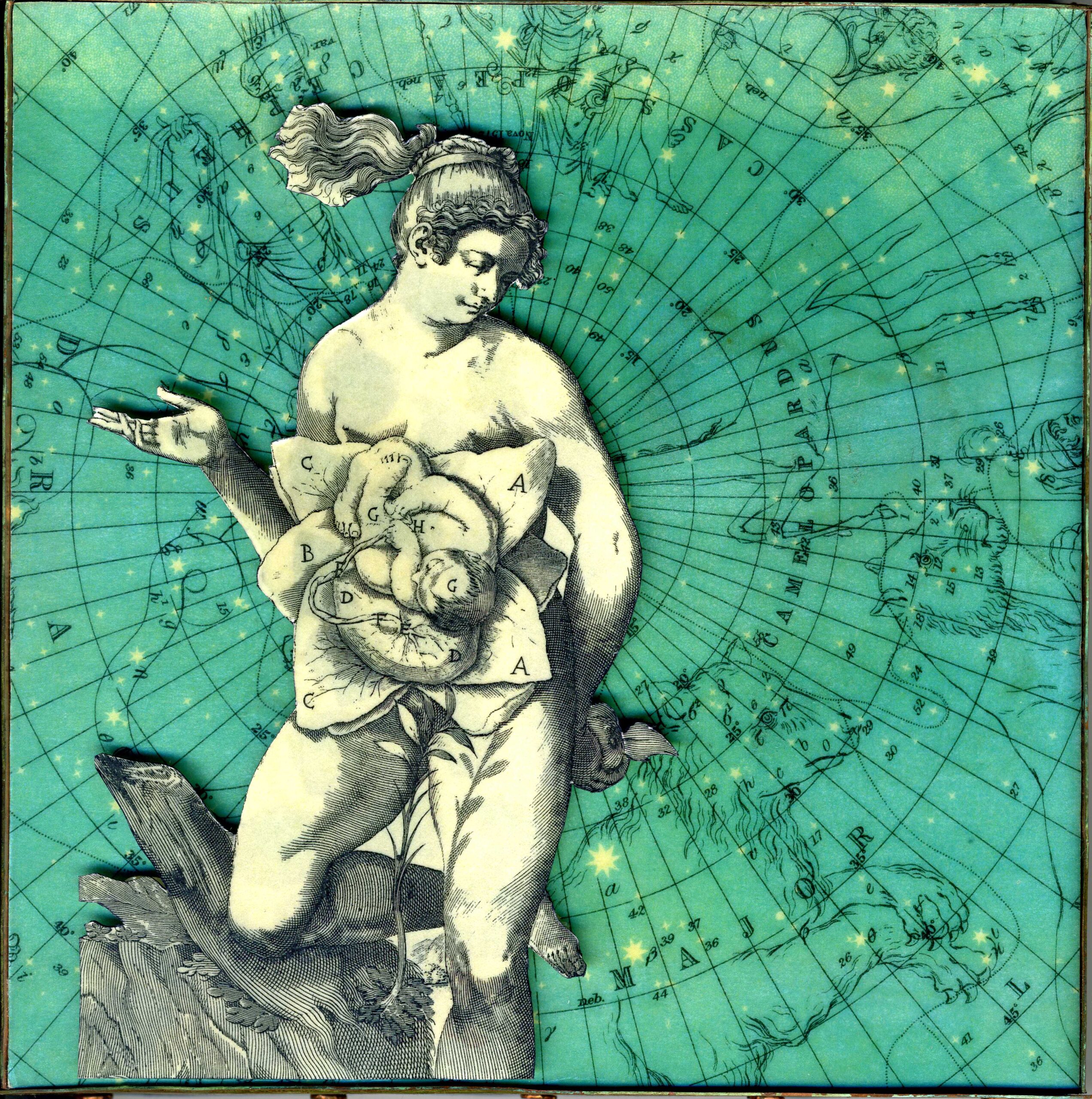 Flora Calabrese - Image 2