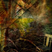 Penny McElroy