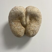 Small Works Members Show