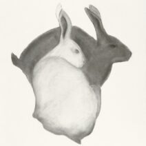 Bonnie Katz - Image 3