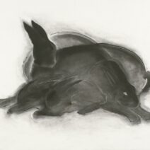 Bonnie Katz - Image 2