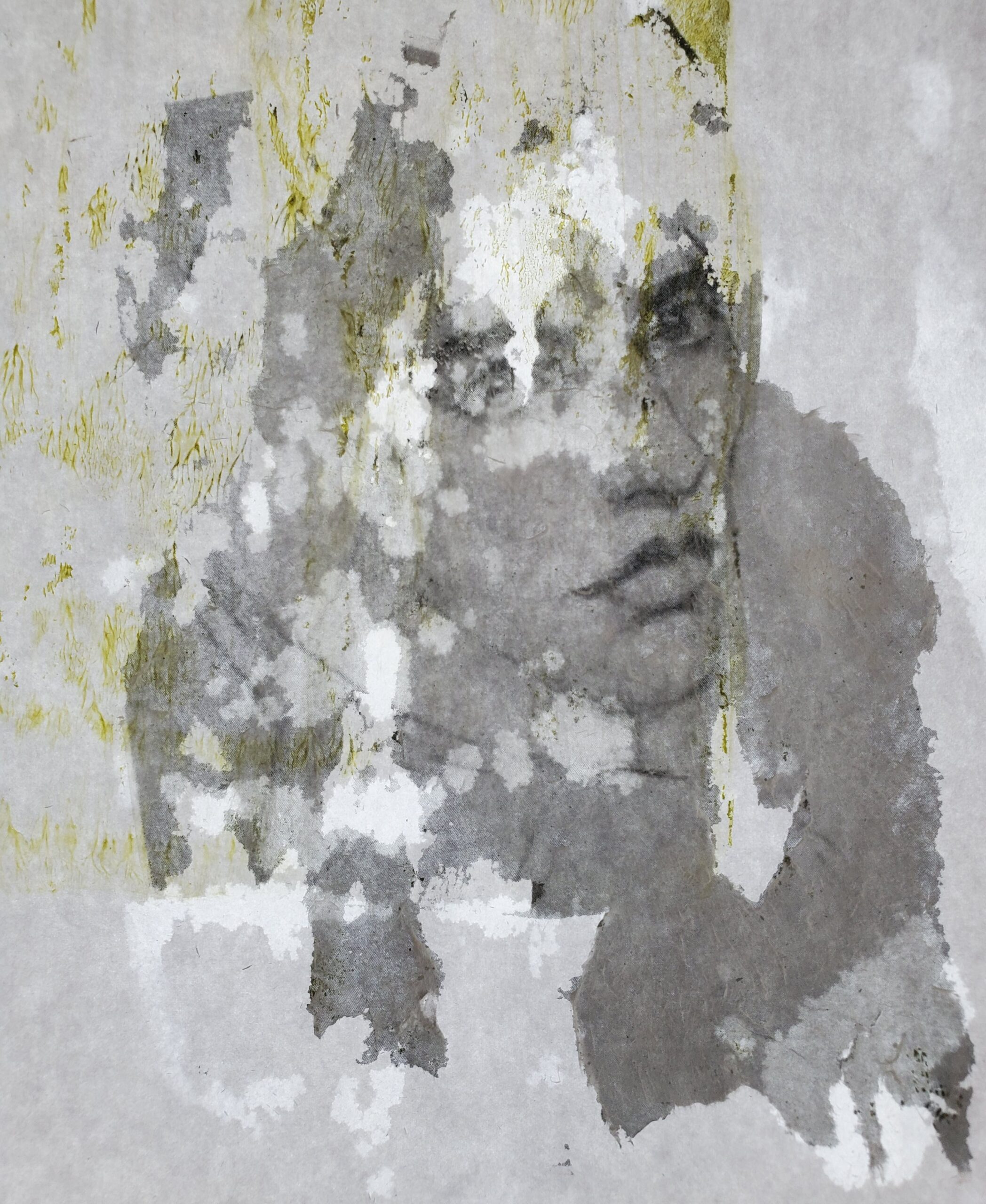 Diane Warner-Wang - Image 7