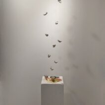 Jen Lau