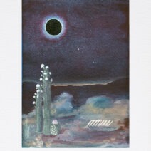 www.whereiswndy.com - Image 4
