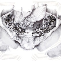 Joanna Hoge