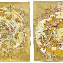 Alternative view of Susan Fecho
