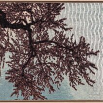 Alternative view of Cathryn Amidei