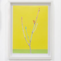 Sabine Pearlman