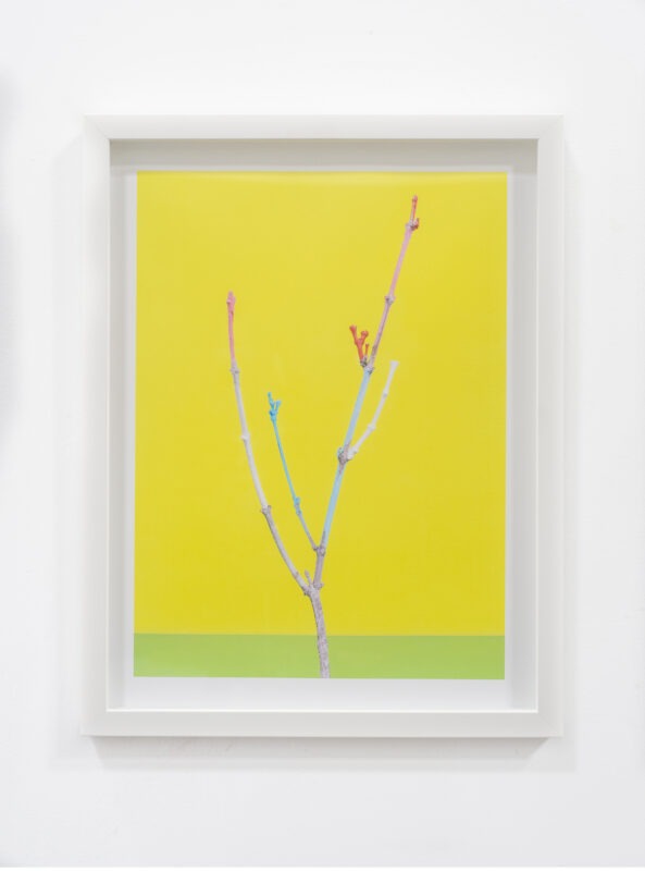 Sabine Pearlman