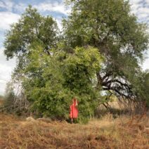 Alternative view of Beth Sanders