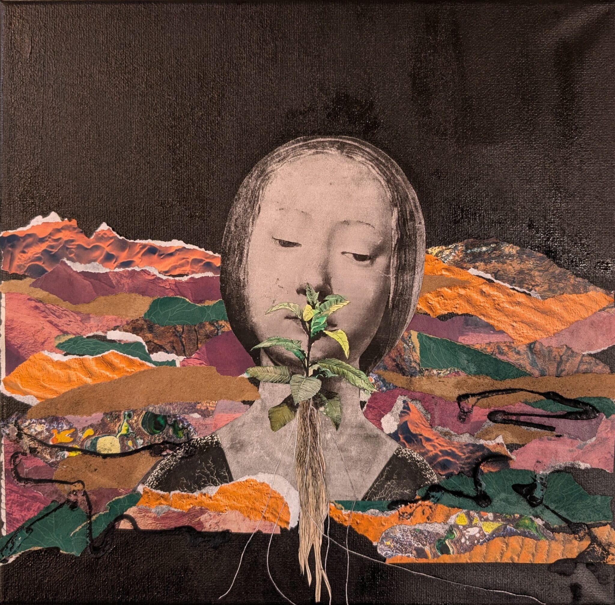 Donna Vorreyer - Image 2