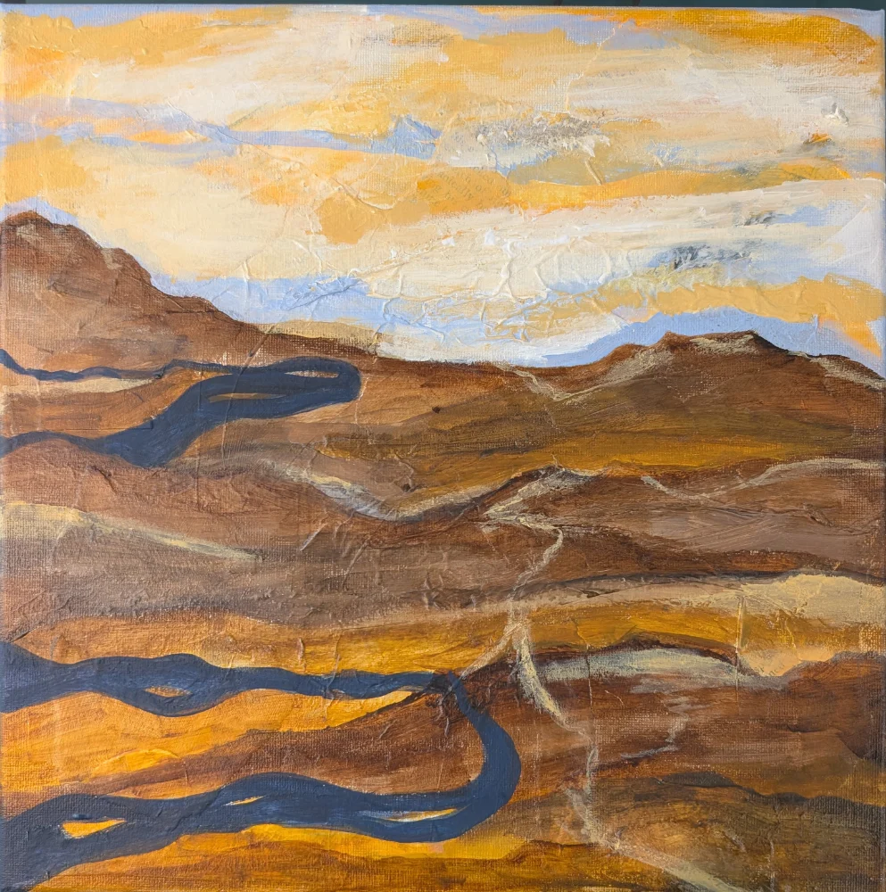 Donna Vorreyer
