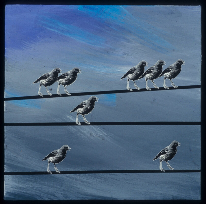 Sharon Swidler