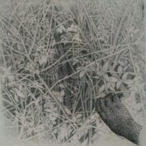 Diane Lee - Image 4
