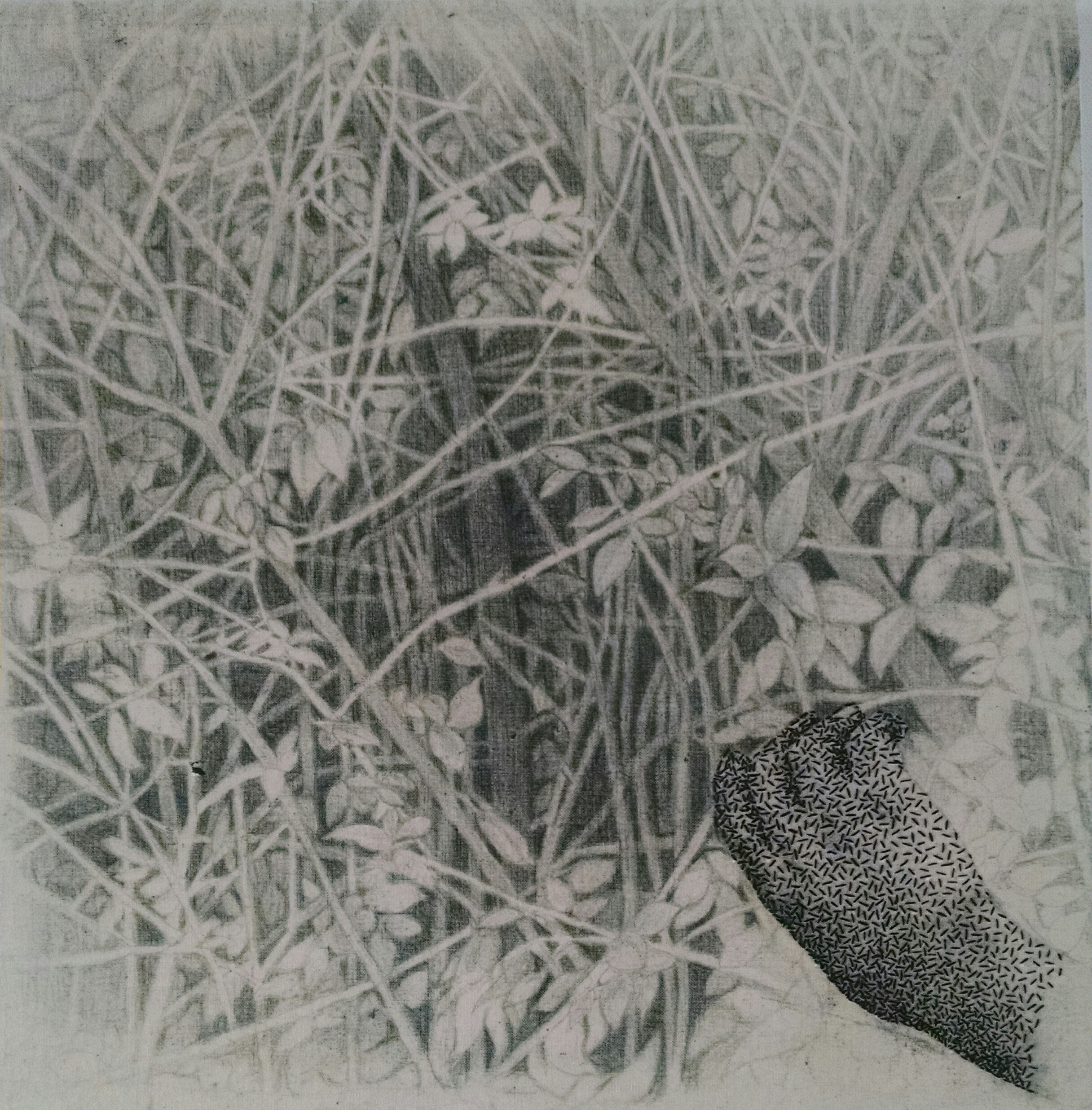 Diane Lee - Image 4