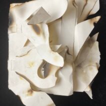 Alexandra Samios