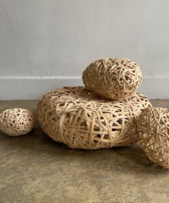 Meg Morley