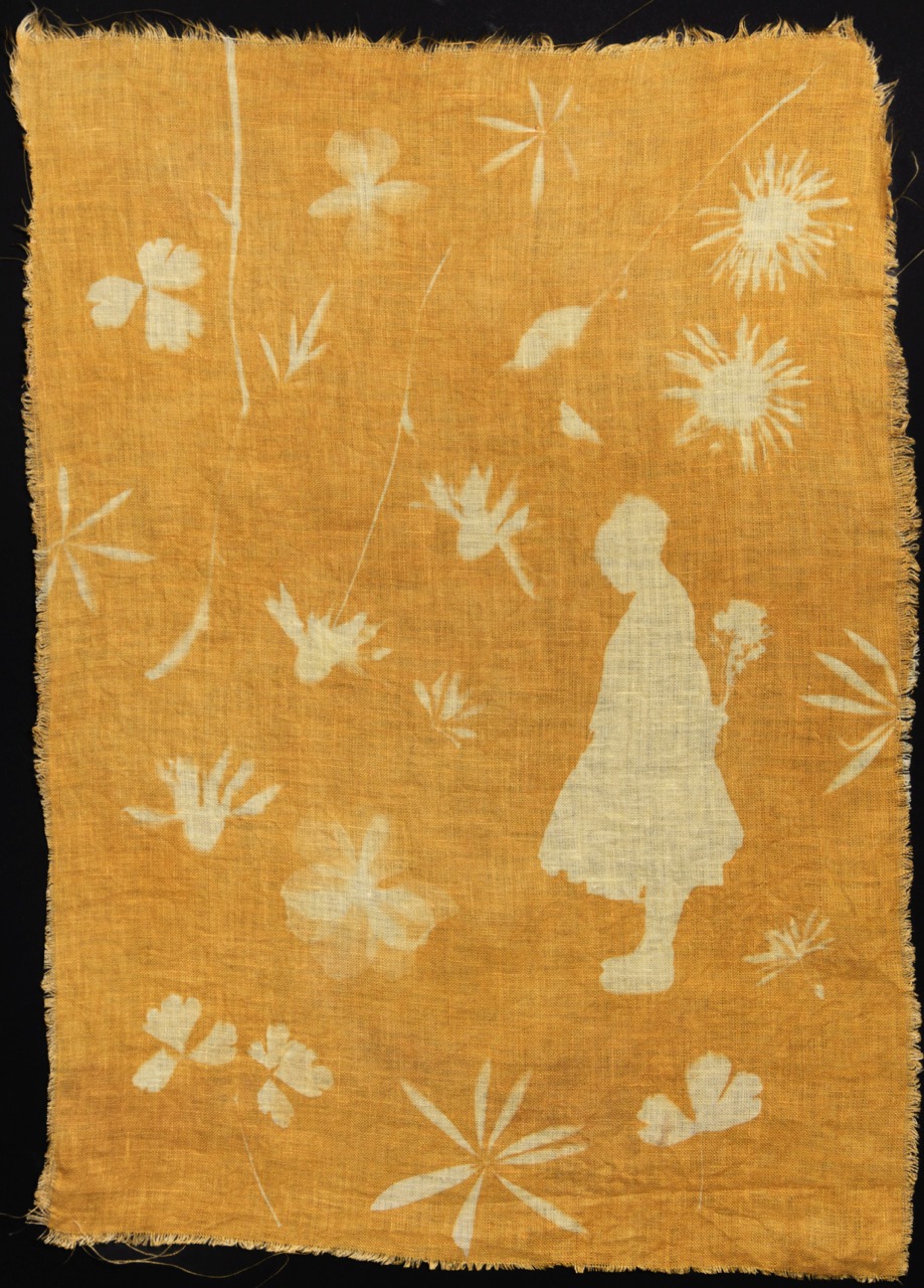 Pamela Chipman - Image 2