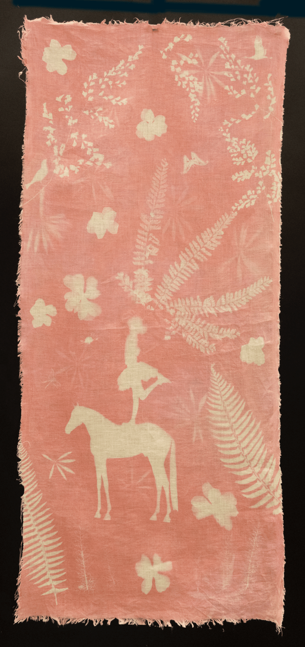 Pamela Chipman - Image 5