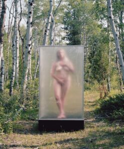 Shoshana Fink