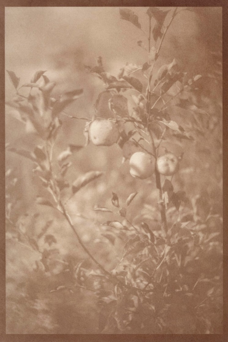 Eleanor Oakes - Image 2
