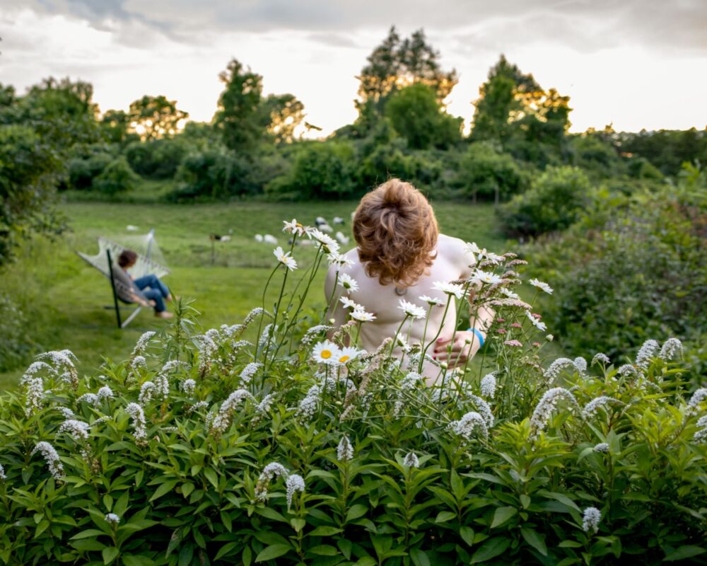 Allison Plass