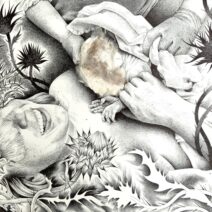 Joanna Hoge