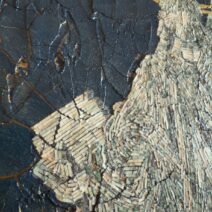 Alternative view of Doina Mihaela Iacob