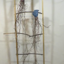 Alternative view of Nancy VanKanegan